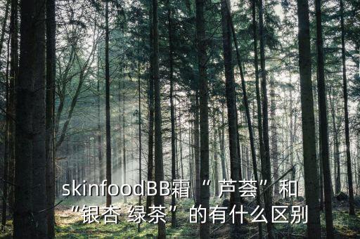 skinfoodBB霜“ 芦荟”和“银杏 绿茶”的有什么区别
