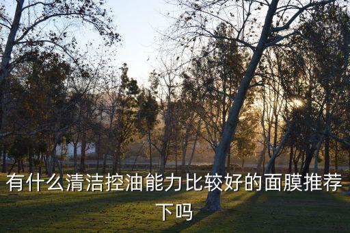 有什么清洁控油能力比较好的面膜推荐下吗
