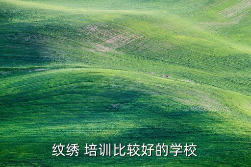 纹绣 培训比较好的学校