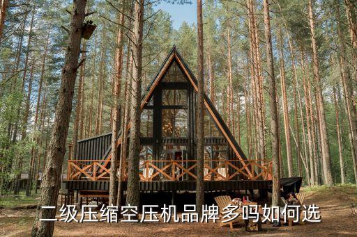  二级压缩空压机品牌多吗如何选