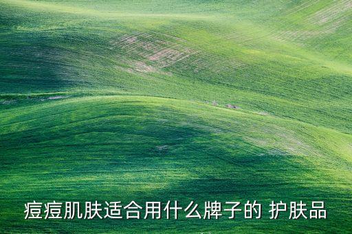 痘痘肌肤适合用什么牌子的 护肤品