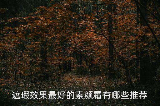 遮瑕效果最好的素颜霜有哪些推荐