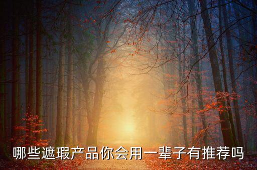 哪些遮瑕产品你会用一辈子有推荐吗