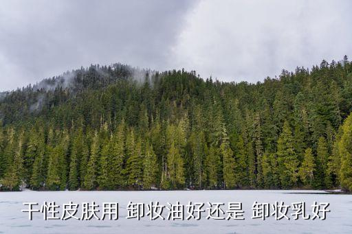 干性皮肤用 卸妆油好还是 卸妆乳好