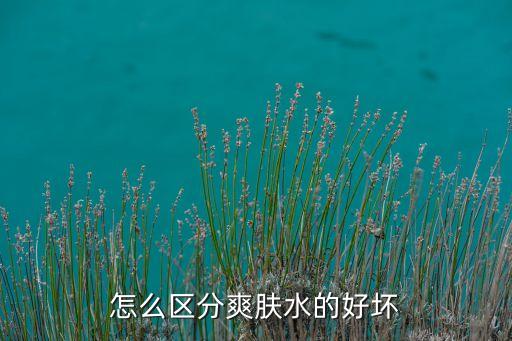 怎么知道爽肤水好不好,妮维雅爽肤水怎么样？