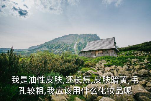 我是油性皮肤,还长痘,皮肤暗黄,毛孔较粗,我应该用什么化妆品呢
