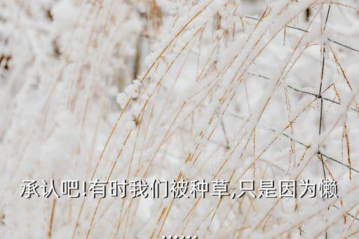 欧树套装 有什么作用,护肤品牌欧树、欧敏肤、欧萃碧是什么关系?