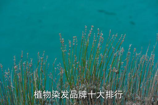 植物染发品牌十大排行