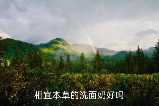 相宜本草的洗面奶好吗