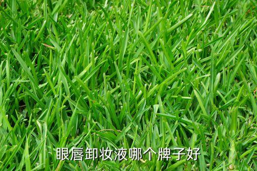 眼唇卸妆液哪个牌子好