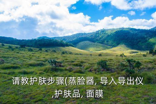 请教护肤步骤(蒸脸器, 导入导出仪,护肤品, 面膜