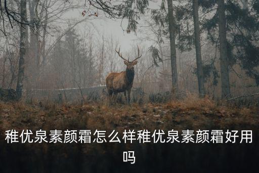 稚优泉素颜霜怎么样稚优泉素颜霜好用吗