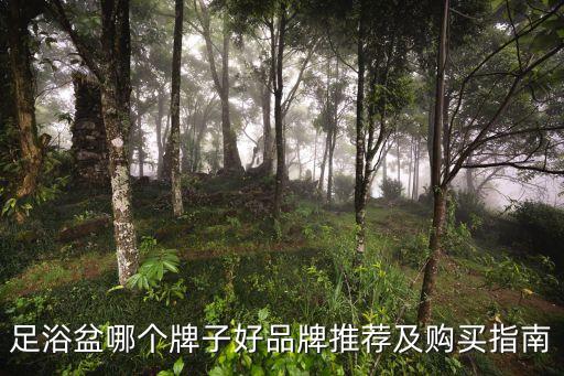 足浴盆哪个牌子好品牌推荐及购买指南