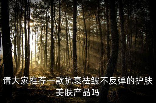请大家推荐一款抗衰祛皱不反弹的护肤美肤产品吗