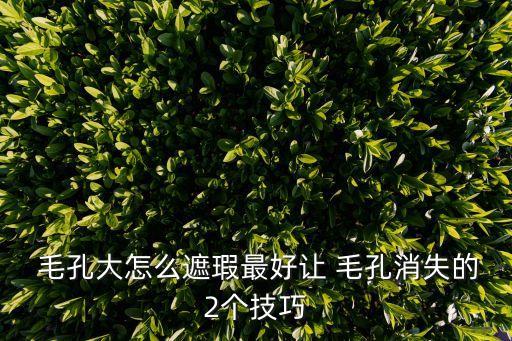  毛孔大怎么遮瑕最好让 毛孔消失的2个技巧