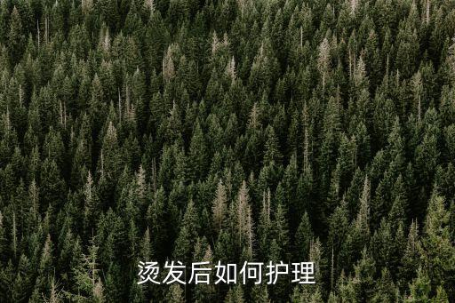 烫发后如何护理