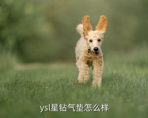  ysl星钻气垫怎么样