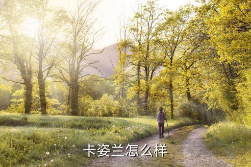 卡姿兰怎么样