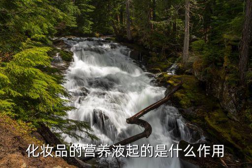 化妆品的营养液起的是什么作用