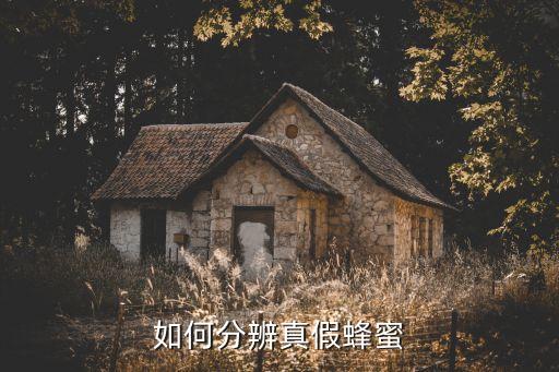 圣博蜜思厂址是哪里,蜜丝佛陀是哪个国家的化妆品?