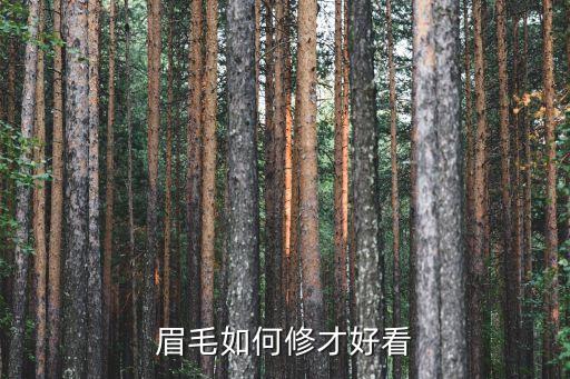眉毛如何修才好看