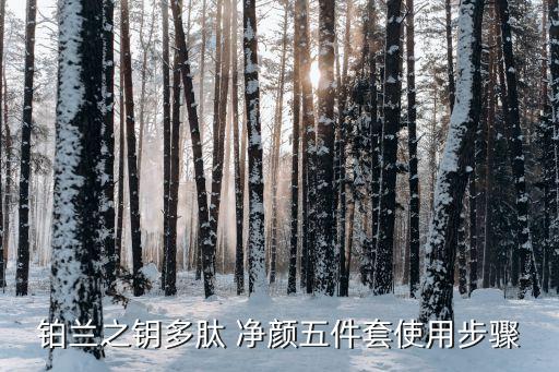 铂兰之钥多肽 净颜五件套使用步骤