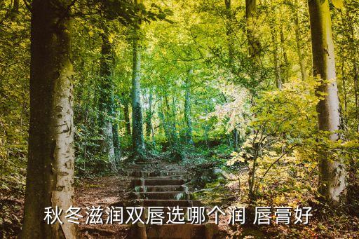 秋冬滋润双唇选哪个润 唇膏好