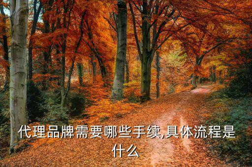如何拿到品牌代理,拿到品牌代理后怎么操作