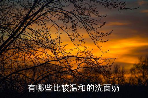 有哪些比较温和的洗面奶