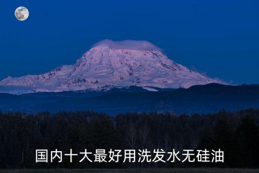 国内十大最好用洗发水无硅油