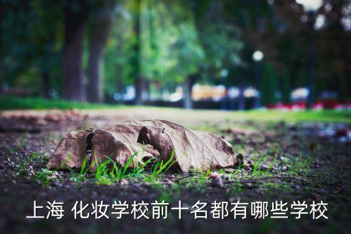 上海化妆从哪里学,上海学化妆有补贴是真的吗