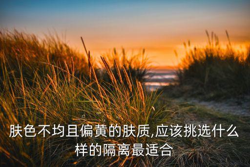 肤色不均且偏黄的肤质,应该挑选什么样的隔离最适合