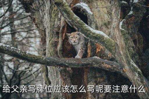 高夫2号怎么用,物品符号的使用