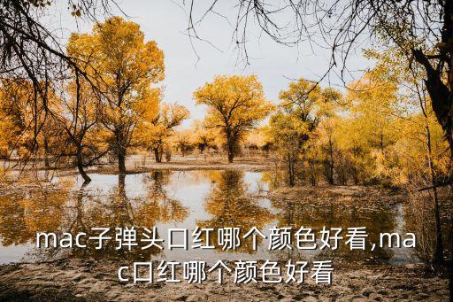 子弹头口红是什么品牌,黑子弹口红是什么牌子？