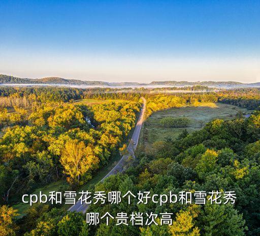 cpb和雪花秀哪个好cpb和雪花秀哪个贵档次高