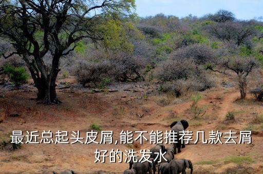 最近总起头皮屑,能不能推荐几款去屑好的洗发水