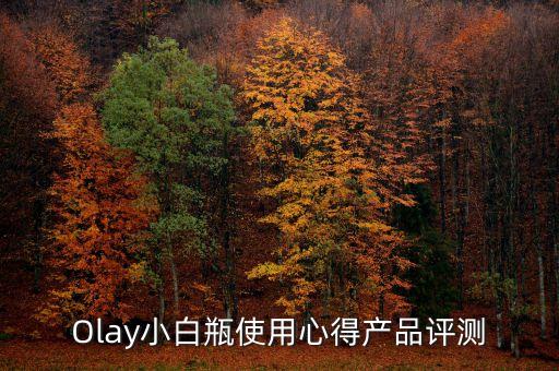 Olay小白瓶使用心得产品评测