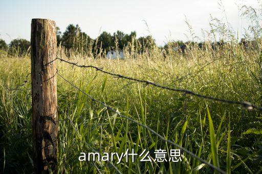 amary什么意思