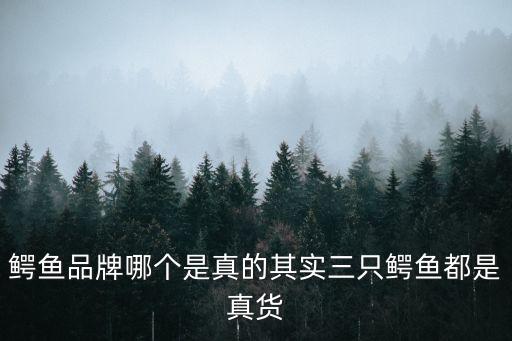 武汉哪里有法国鳄鱼,合肥哪里有法国鳄鱼专卖店？