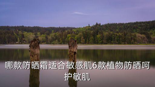 哪款防晒霜适合敏感肌6款植物防晒呵护敏肌