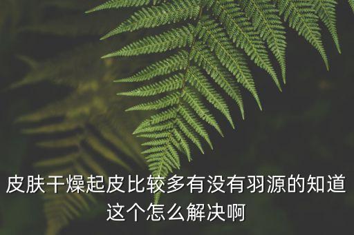 皮肤干燥起皮比较多有没有羽源的知道这个怎么解决啊