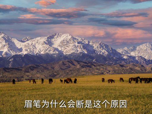 眉笔为什么会断是这个原因