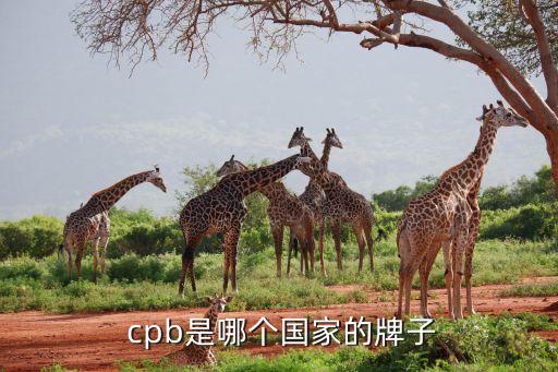 cpb护肤品适合什么肤质
