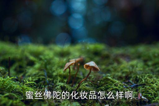 蜜丝佛陀的化妆品怎么样啊