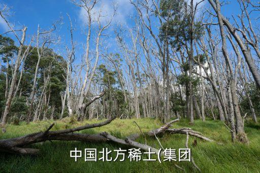 中国北方稀土(集团