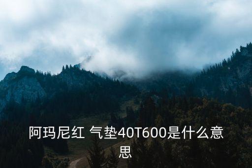 阿玛尼红 气垫40T600是什么意思