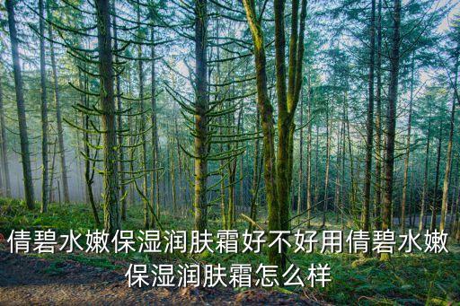倩碧水嫩保湿润肤霜好不好用倩碧水嫩保湿润肤霜怎么样