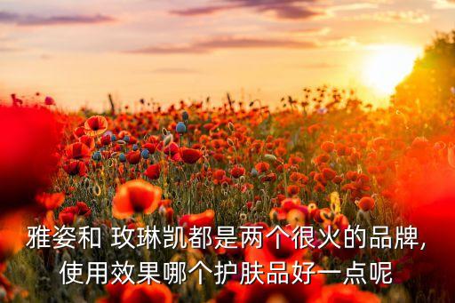 雅姿和 玫琳凯都是两个很火的品牌,使用效果哪个护肤品好一点呢