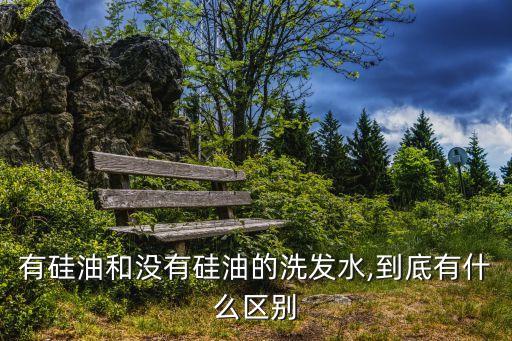 有硅油和没有硅油的洗发水,到底有什么区别