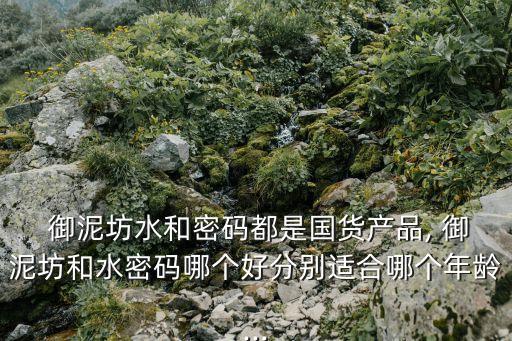  御泥坊水和密码都是国货产品, 御泥坊和水密码哪个好分别适合哪个年龄...